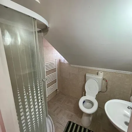 Guest house Pensiunea Maria 2*