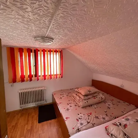 Guest house Pensiunea Maria 2*