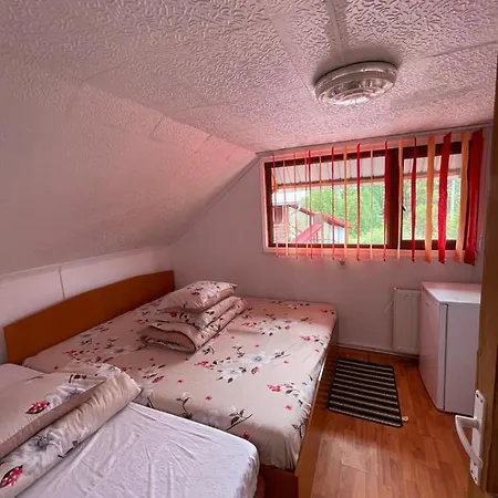 Pensiunea Maria Guest house